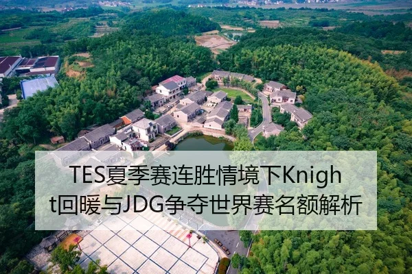 TES夏季赛连胜情境下Knight回暖与JDG争夺世界赛名额解析