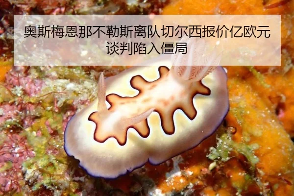 奥斯梅恩那不勒斯离队切尔西报价亿欧元谈判陷入僵局