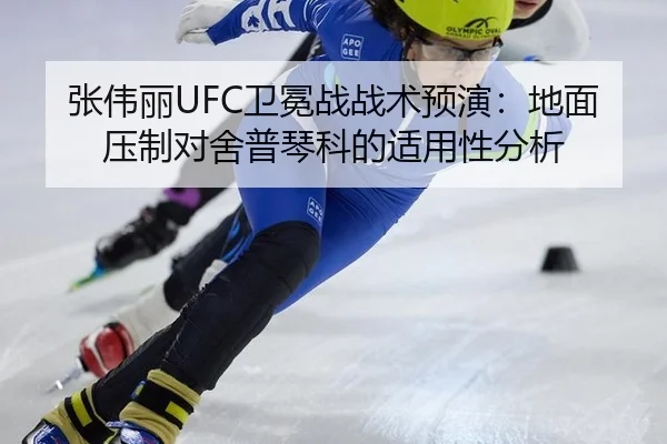 zhang-wei-li-wei-mian-zhan-zhan-shu-yu-yan-di-mian-ya-zhi-dui-she-pu-qin-ke-de-shi-yong-xing-fen-xi-2-182.jpg