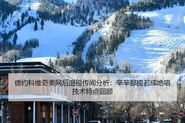 de-yue-ke-wei-qi-mei-wang-hou-tui-yi-chuan-wen-fen-xi-xin-xin-na-ti-ruo-cheng-jue-chang-ji-shu-te-dian-hui-gu-3-818.jpg